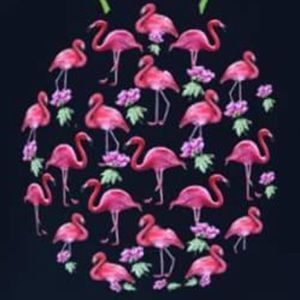 Meet your Posher, Cheryl